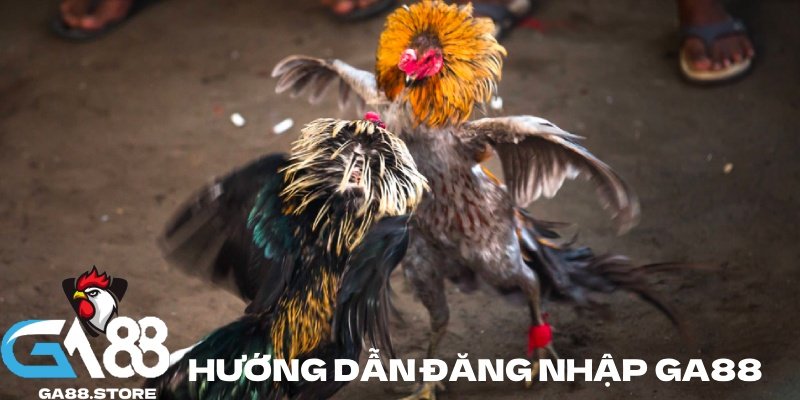 Đăng nhập nhanh chóng