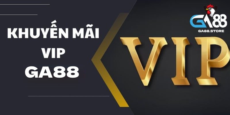 Khuyến mãi thành viên VIP