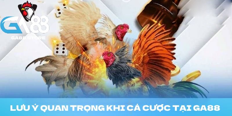 Những lưu ý quan trọng khi tham gia đặt cược tại GA88