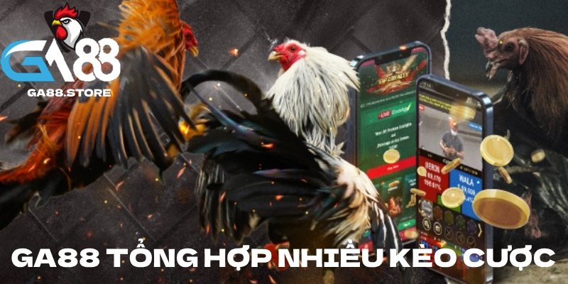 Tổng hợp kèo cược hấp dẫn