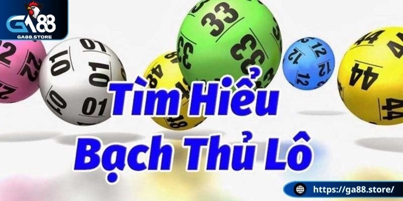 Sơ lược bạch thủ lô là gì?