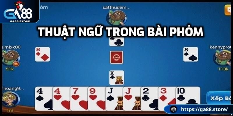 Các thuật ngữ trong bài phỏm