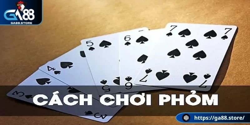 Chia bài phỏm hợp lý