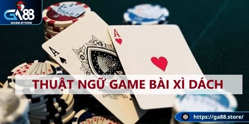 Tầm quan trọng của thuật ngữ xì dách