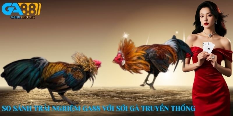 So sánh trải nghiệm GA88 với sới gà truyền thống